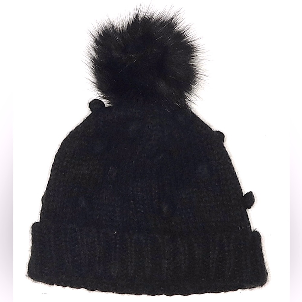 Ann Taylor Loft Beanie Hat